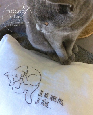 Je ne dors pas, je rêve...(PDF)